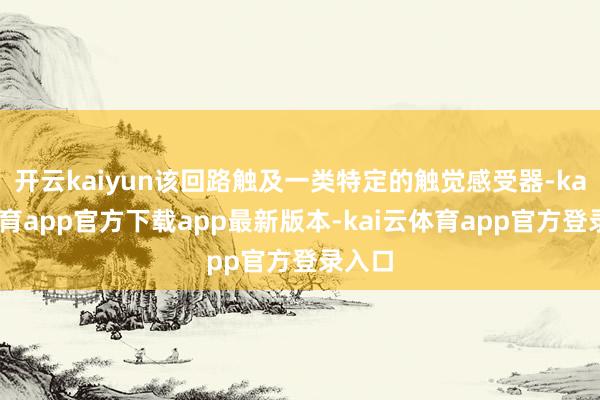 开云kaiyun该回路触及一类特定的触觉感受器-kai云体育app官方下载app最新版本-kai云体育app官方登录入口
