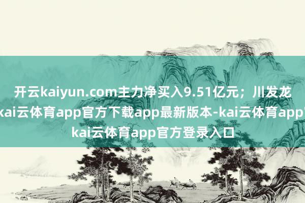 开云kaiyun.com主力净买入9.51亿元；川发龙蟒名秩序二-kai云体育app官方下载app最新版本-kai云体育app官方登录入口