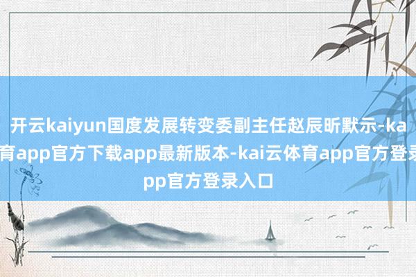 开云kaiyun国度发展转变委副主任赵辰昕默示-kai云体育app官方下载app最新版本-kai云体育app官方登录入口