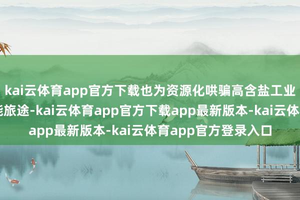 kai云体育app官方下载也为资源化哄骗高含盐工业废水提供了新的可能旅途-kai云体育app官方下载app最新版本-kai云体育app官方登录入口