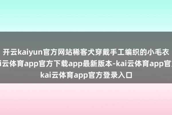 开云kaiyun官方网站稀客犬穿戴手工编织的小毛衣走猫步-kai云体育app官方下载app最新版本-kai云体育app官方登录入口