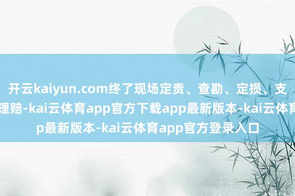 开云kaiyun.com终了现场定责、查勘、定损、支付赔款一站式急速理赔-kai云体育app官方下载app最新版本-kai云体育app官方登录入口