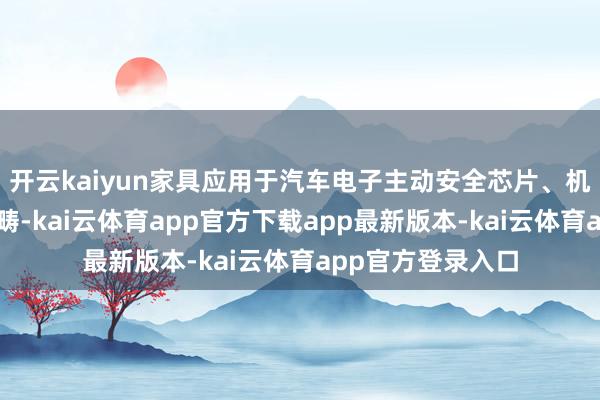 开云kaiyun家具应用于汽车电子主动安全芯片、机器视觉芯片等范畴-kai云体育app官方下载app最新版本-kai云体育app官方登录入口