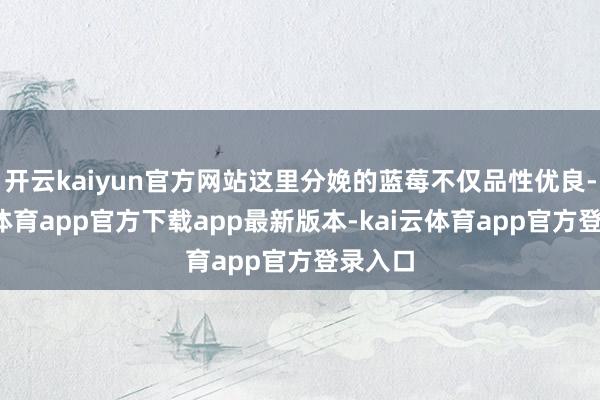 开云kaiyun官方网站这里分娩的蓝莓不仅品性优良-kai云体育app官方下载app最新版本-kai云体育app官方登录入口